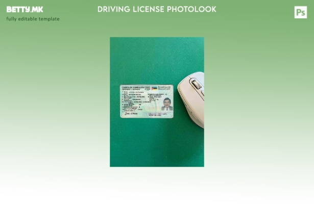 Модерен стил Мозамбик DL photolook FRONT шаблон